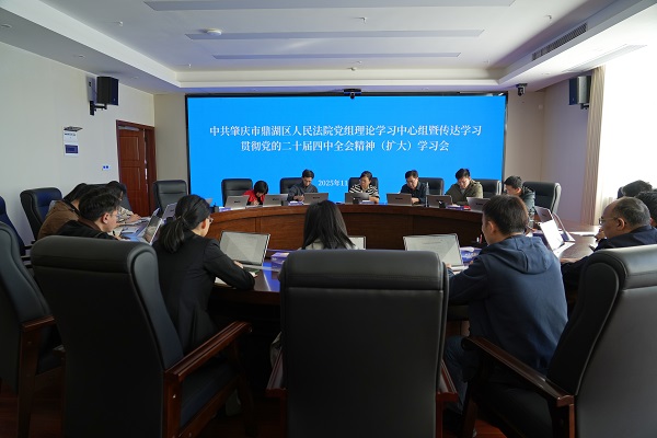 鼎湖区法院召开党组理论学习中心组暨传达学习贯彻党的二十届四中全会精神（扩大）学习会